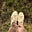 Lori LeClair Cooke's avatar