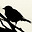 Alvan's avatar