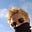 Leigh Tracy's avatar