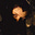 Evelina's avatar