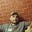 Faisal Aliyar's avatar