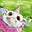 Aidan Cassie's avatar