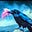 Raven's avatar