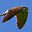 Brian's avatar