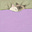 Ana Berggruen's avatar