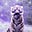 FelineFan55's avatar