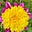 Debra Townsend's avatar