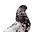 Paper Snail's avatar
