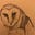 Sue Lewis's avatar