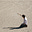 Jared Deft's avatar