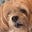 JessB's avatar