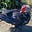Lisa Likeaduck's avatar