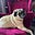 Claire_Illy's avatar