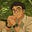 Alexandre's avatar