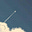 merkurious's avatar