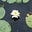 Len Laers's avatar