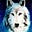 Shewolf884's avatar