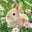 Julie Coyle's avatar