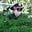 Chester Mix's avatar