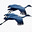 Diane Schmidt's avatar
