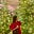 Phuong Phan's avatar
