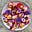 A Chronicle of Cravings's avatar