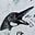 Honks & Hisses.'s avatar