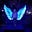 Anne King's avatar