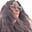 Jennifer French's avatar