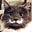 meh's avatar
