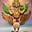Arkacandra Jayasimha's avatar