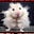 Feral Hamsters's avatar