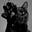 Avatar de Gato Preto
