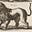 The Manticore's avatar