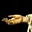 Lucas Dennis's avatar