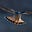 Kestrel's avatar
