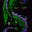 Dragon Mountain's avatar