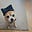 David Henry Harris's avatar