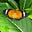 Martin N's avatar