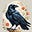 Raven Shadowvale's avatar