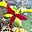 Diane M.'s avatar