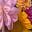 Justine Young's avatar