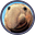 CaptainRNU's avatar
