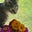 beth smith's avatar