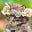 Fluffy Bunny's avatar