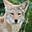Miep's avatar
