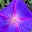 Betty Jo Starke's avatar