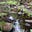 Adirondack Notes's avatar