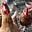 Funnyducksandco's avatar