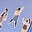 Caryl's Last Braincells's avatar
